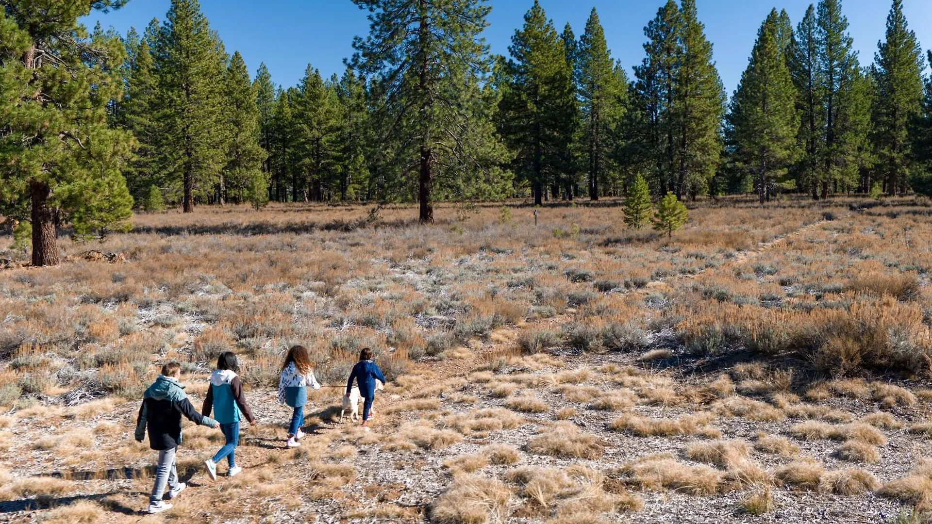 The - Golf, Pool, Play - 2-bedroom Holiday home Truckee