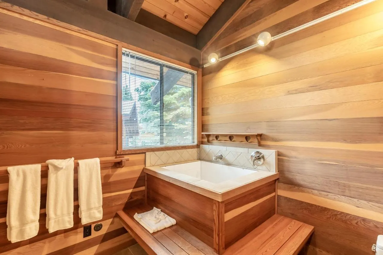 Beautiful 4-bedroom Contemporary Mountain *