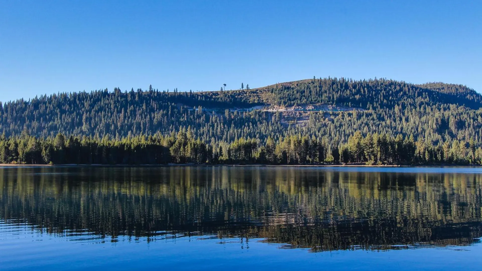 Donner House * Truckee