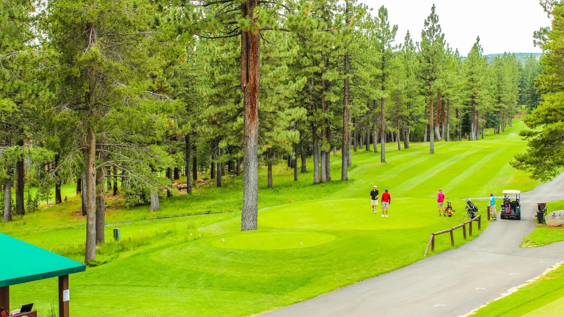 Wild Bear Retreat * Truckee