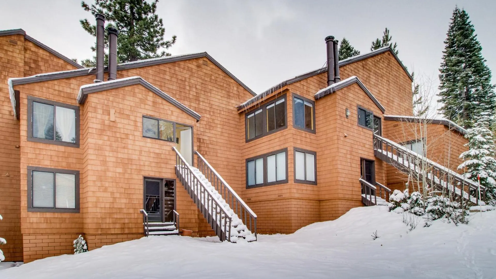 Wild Bear Retreat