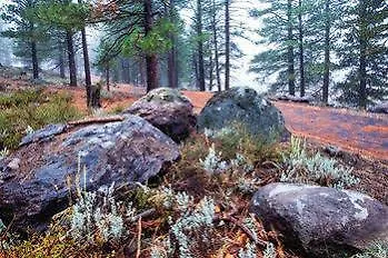 Donner Village Hotel 2*